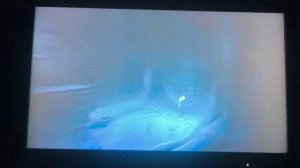 Reanimal 1 часть прохождения