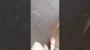 Снимали летом