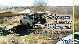 #Туркмения #На_рыбалке с братом #разлив_Боскёль в #Каракумской_пустыне