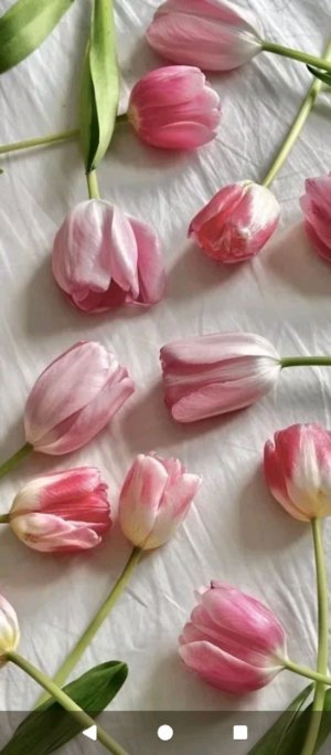 ❄️❄️❄️🇷🇺, подписывайтесь на мой telegram канал , и в мах , ссылка в описании