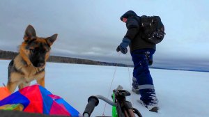 Пеший поход на озеро на зимнюю рыбалку с жерлицами! На озеро пришли волки!