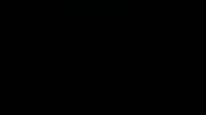 16:16 бъётся об стены и пол