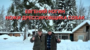 ЕВГЕНИЙ НОГИН автор канала ЗАМЕТКИ ДРЕССИРОВЩИКА. Первый привёз стаффордов в Россию.