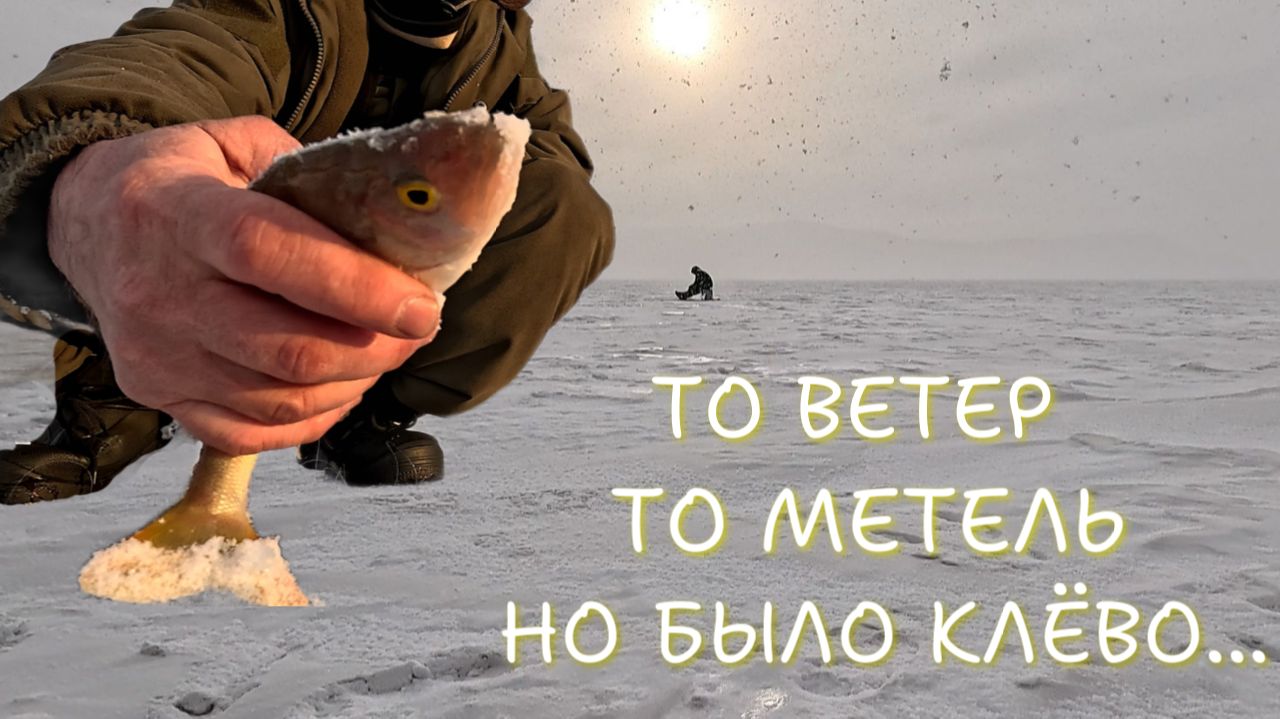 Весенняя рыбалка на КВХ. Рыбка просыпается.