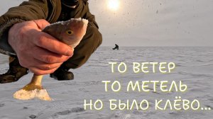 Весенняя рыбалка на КВХ. Рыбка просыпается.