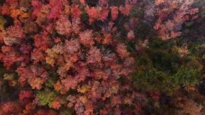 Музыка в рассказах. П. Чайковский ноктюрн оп 3 до диез минор. Тайны раннего шедевра.