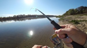 С ТАКОЙ ЩУКОЙ РЫБАЛКА УДАЛАСЬ