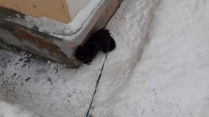 Везде надо побывать на улице.