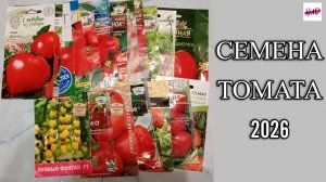 СЕМЕНА ТОМАТОВ НА 2026 ГОД.