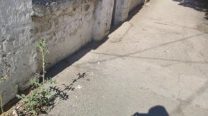 Один из дней города Евпатории | 30 июня 2021 г | Крым | ХАН БАТОН | XAH 6ATOH | VID_20210630_155148