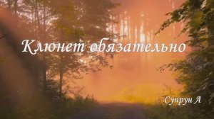 Обязательно клюнет