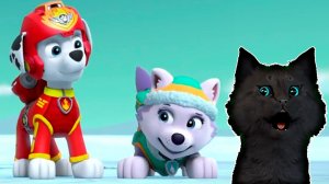 СУПЕР КОТ И СУПЕР СОБАКИ СПАСАЕМ ОБЕЗЬЯНКУ МЭНДИ ИЗ ВУЛКАНА #6 Mighty Pups Save Adventure Bay #231