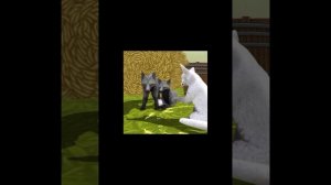 Мини фильм WildCraft "Лиса подчинённая" 1 серия