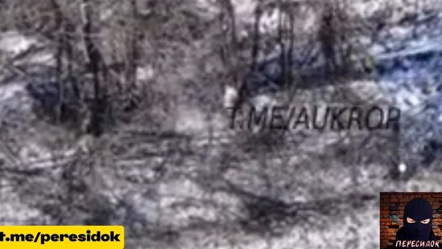 ВСУшника кто-то разыграл, сказав, что если не шевелиться, то дрон его не увидит. Пранк удался