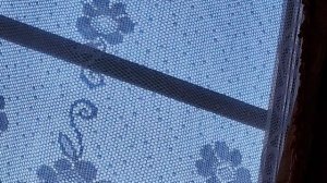 А вы стриглись на публику