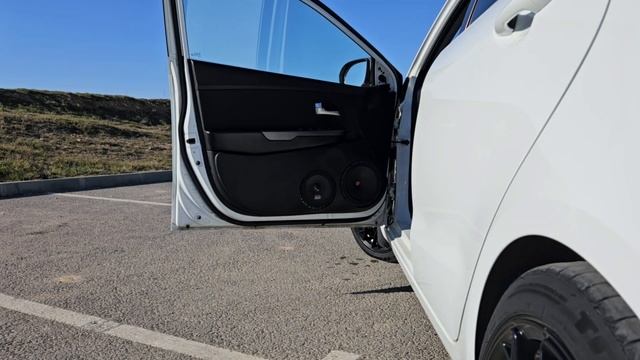 Громкая эстрада от Dl Audio Raven 200 V.2