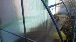 огуречник в полутеплицу