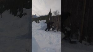 Убираю снег. 7 - 11 видео.