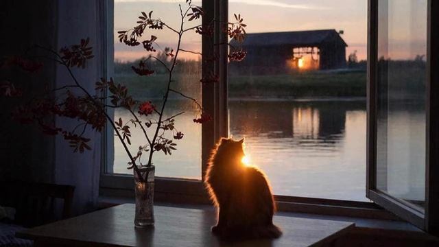 Анна Ахматова. Я научилась просто, мудро жить - lo-fi hip hop