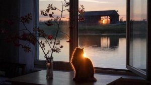 Анна Ахматова. Я научилась просто, мудро жить - lo-fi hip hop