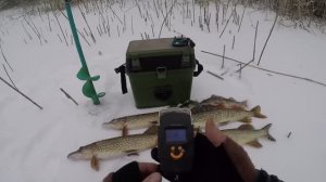 БАЛАНСИР наказал Жерлицы, Полторахи клюют так что волос подымается, Зимняя рыбалка на щуку