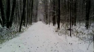 052 2016.11.04_10.14.56