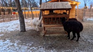 Парк ЦПКиО и не только в Волгограде часть1