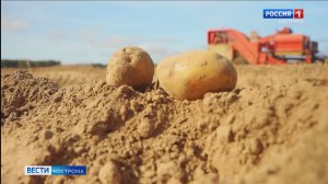 Костромские аграрии строят планы на новый сезон