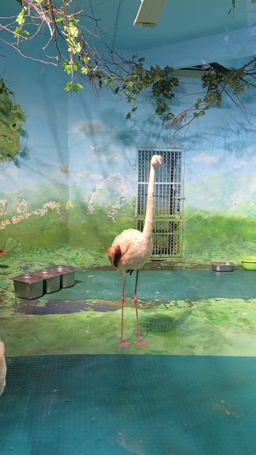 зоопарк Екб ч2 #лайфстайл