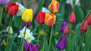 8 Марта 2026 . С Праздником, дорогие девочки!