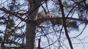 8 марта. Поздравляю. Краснодар. Ботанический сад. Подарочек!