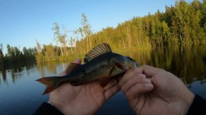 Рыбалка 14.06.23