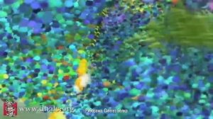 Биология круче современной инженерии. Молекулярные машины внутри живой клетки