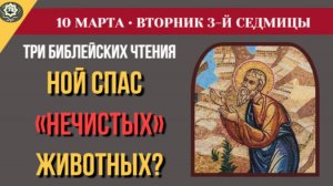 10 Марта «Кирпичи упали, построим из камня!» Святитель Иоанн Златоуст об анатомии человеческого эго