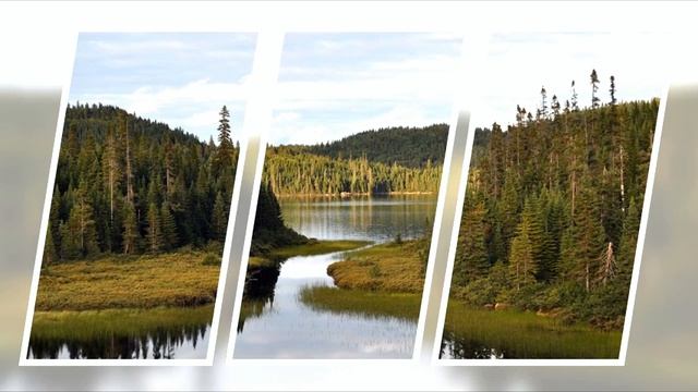 PLU-TON - On the Brink of the Universe