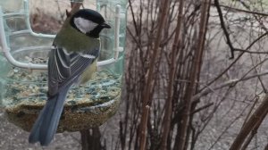 Обед по расписанию 🥗