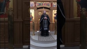 О покаянии и осуждении. О правильной духовной жизни. Проповедь о. Андрея.