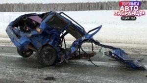 Очередные ДТП Мартанутых Торопыг и Водятлов