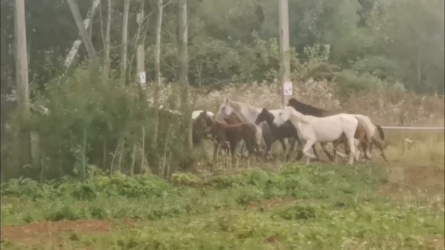 Гостиница Слобода Пермский край