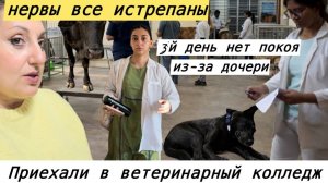 Вика Индия- ТРЕТИЙ ДЕНЬ НЕТ ПОКОЯ ИЗ-ЗА ДОЧЕРИ