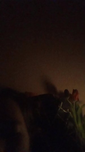 прохожу ппт 2 на мобильной версии 🥺