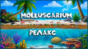 Molluscarium ( ДЕМО ) релакс