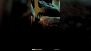 мы играем в рандомные игры (2 часть)