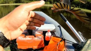 Рыбалка 24.05.23