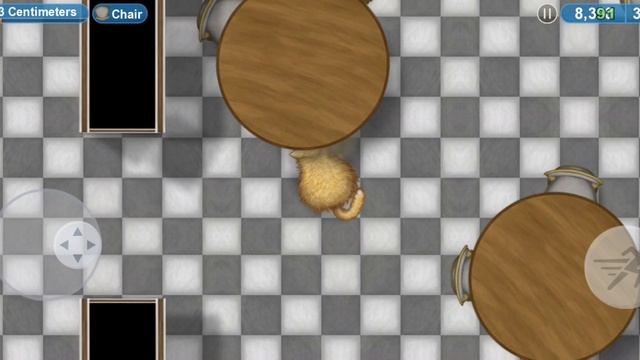 кот уборщик , у которого произошла ОШИБКА Markus_2