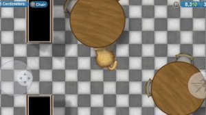 кот уборщик которова произошла ОШИБКА Markus_2