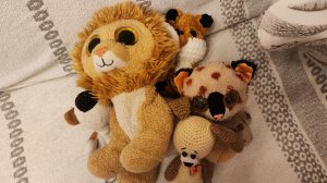 К нам пришла кумехо!