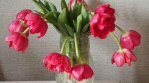 ВСЯ СЕМЬЯ В СБОРЕ 🥰❤️❤️❤️