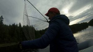 05.07.24.Новые места, монстры щуки))) и зачетный окунь.