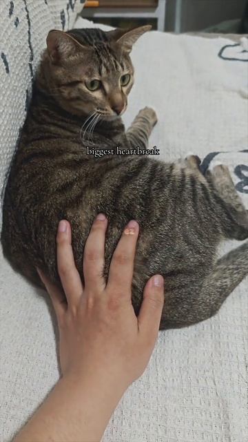 Это разбивает сердце